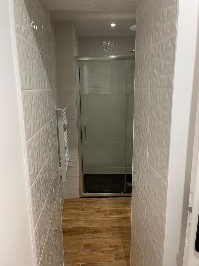 Апартаменты Le Jardin Niortais - Hyper Centre- Proche Gare - Paisible - Grand Jardin Prive, Wifi Hd -Netflix Экстерьер фото