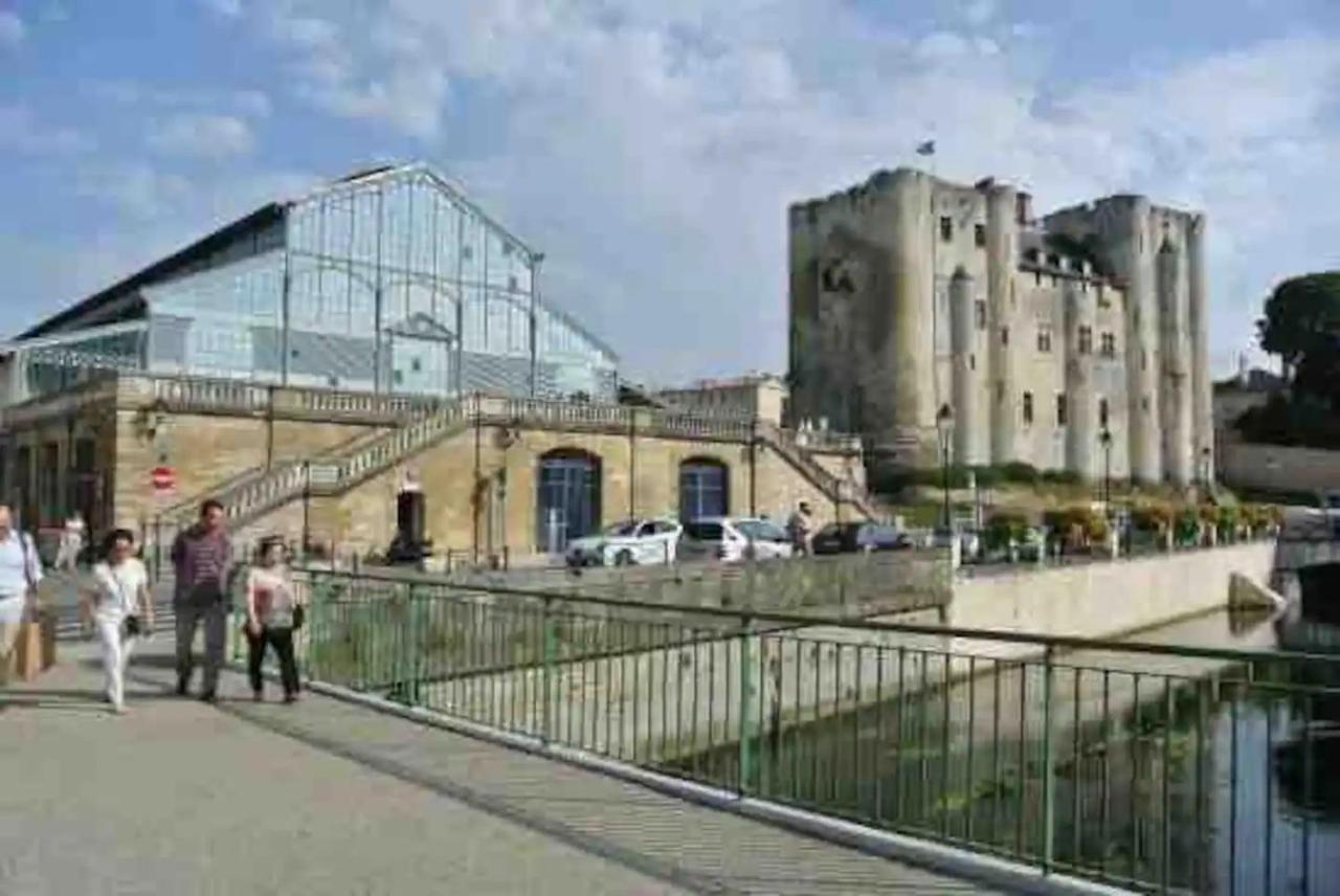 Апартаменты Le Jardin Niortais - Hyper Centre- Proche Gare - Paisible - Grand Jardin Prive, Wifi Hd -Netflix Экстерьер фото